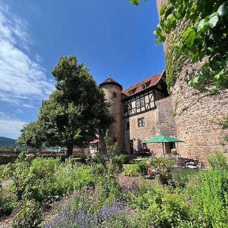 Alte Foersterei - Elegantes Apartment In Der Historischen Hinterburg Schlitz - Nahe Fulda Und Bad Hersfeld Exterior photo