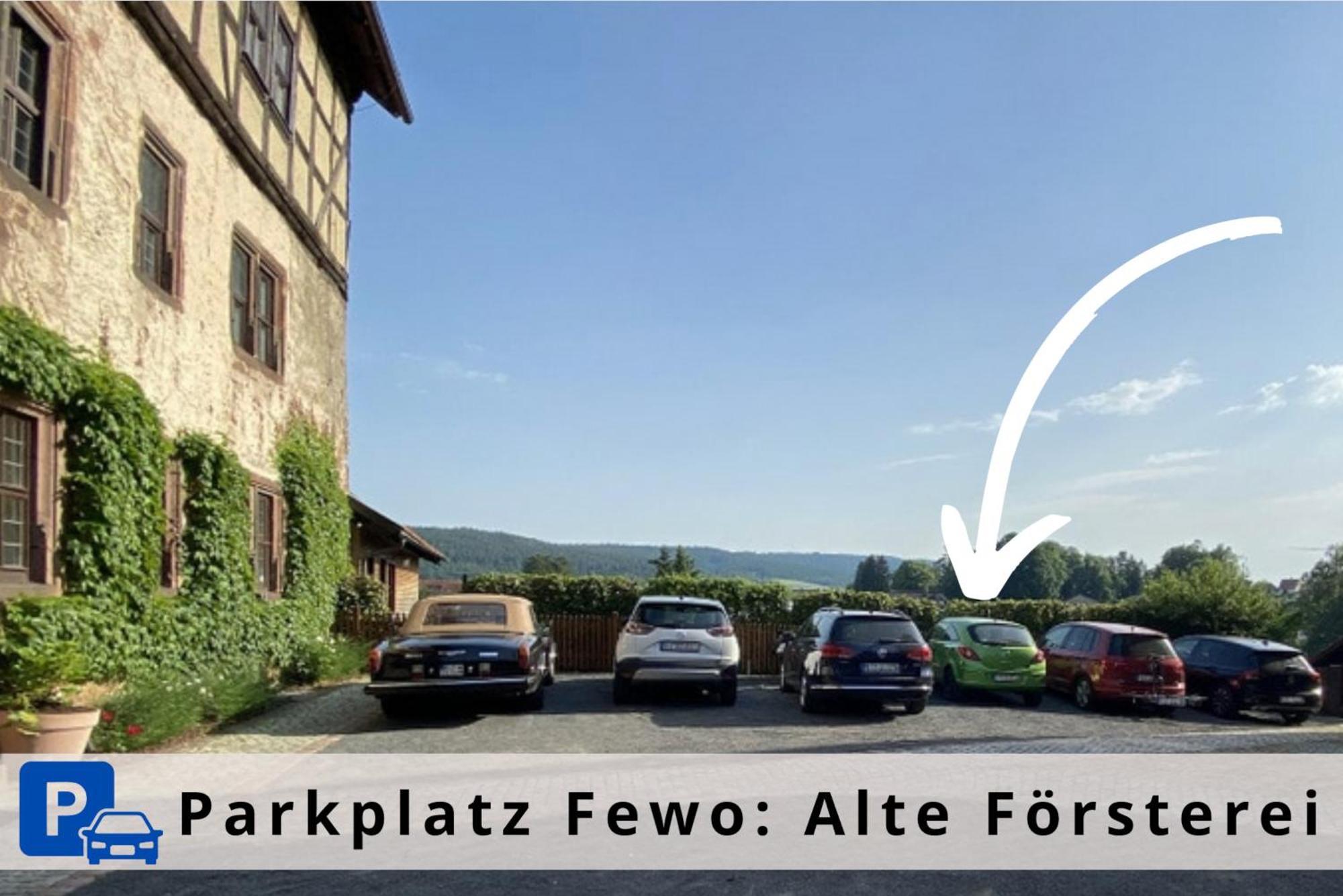 Alte Foersterei - Elegantes Apartment In Der Historischen Hinterburg Schlitz - Nahe Fulda Und Bad Hersfeld Exterior photo